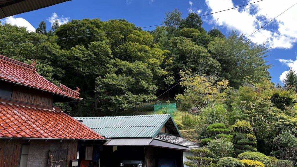 栗の木